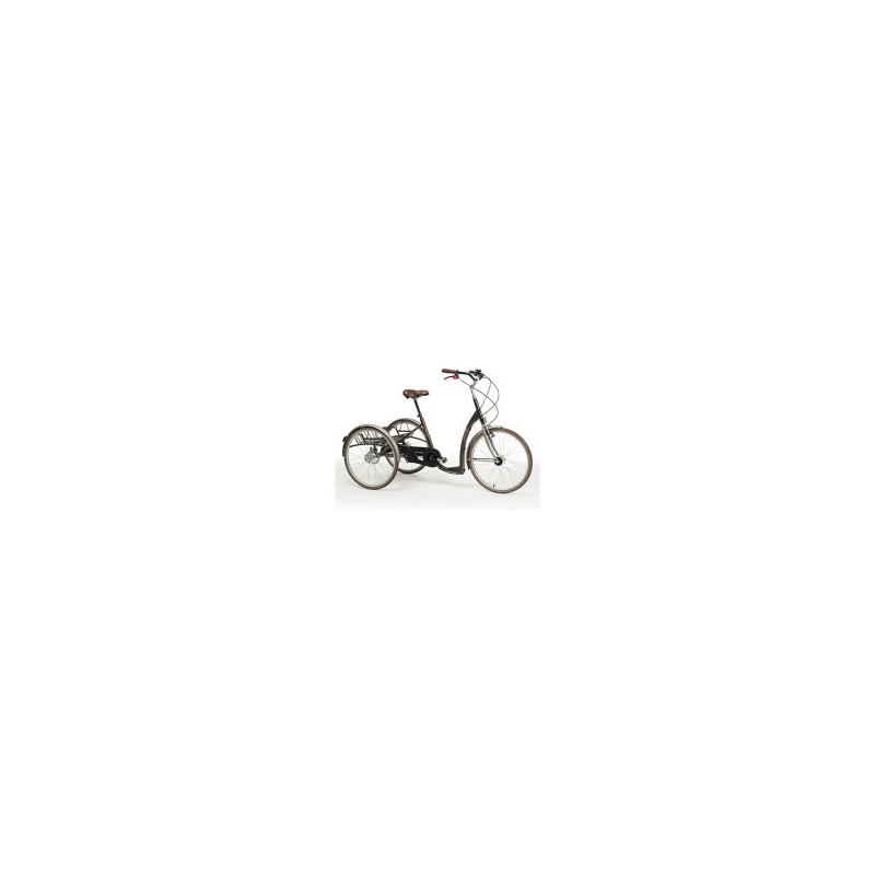 TRICYCLE ADULTE 2219 VINTAGE
