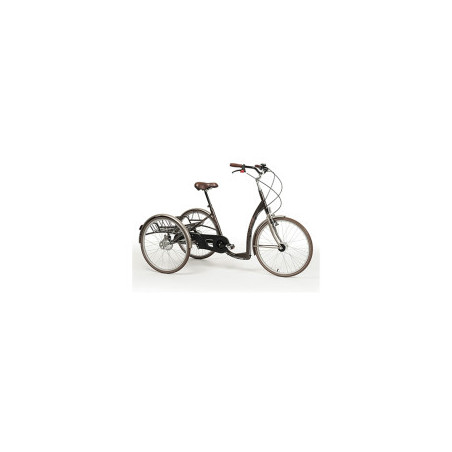 TRICYCLE ADULTE 2219 VINTAGE