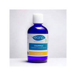 HUILE VÉGÉTALE CALOPHYLLE 100 ML