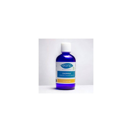 HUILE VÉGÉTALE CALOPHYLLE 100 ML